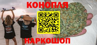 гашик Кинель
