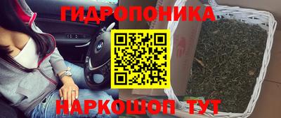 гашик Кинель